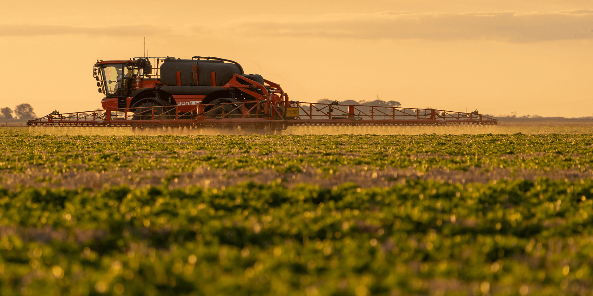 condor_endurance_1920x9903